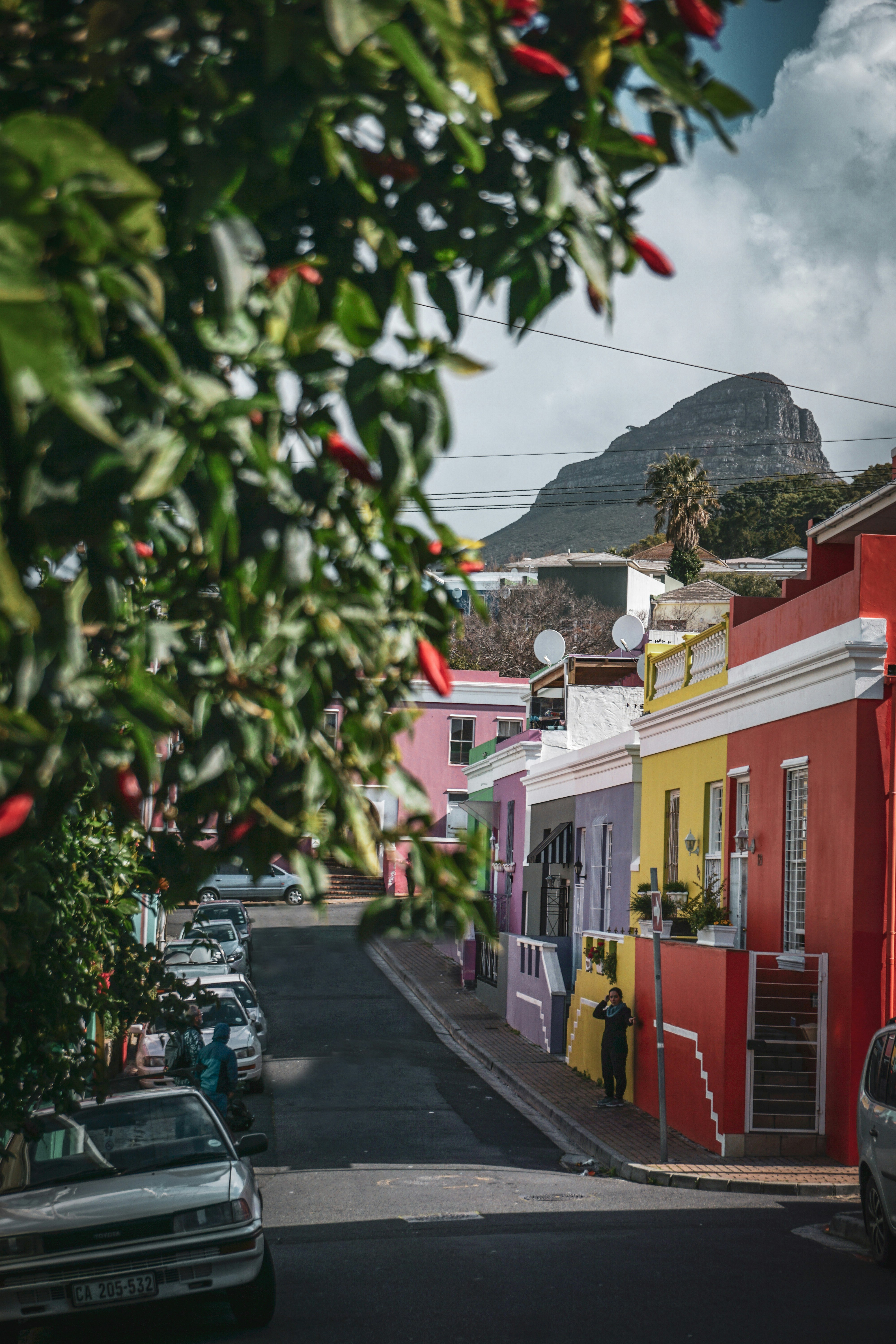 bo-kaap-image